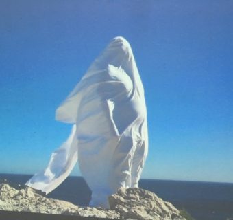Leo Wu Hao – Dnsep 2017