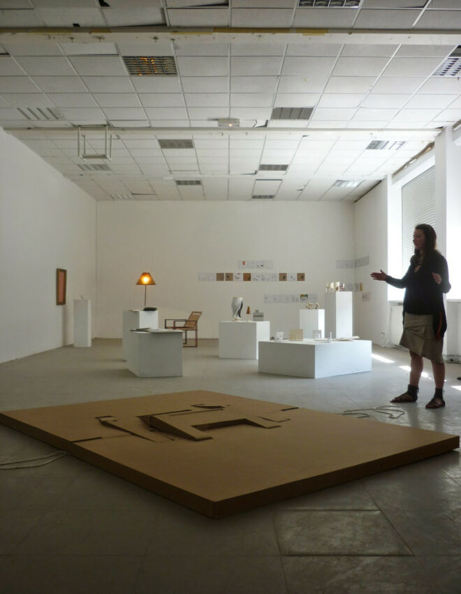 Cécile Coudreau – Dnsep 2013