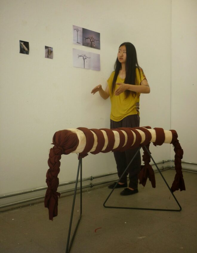 Yin Liu – Dnap 2013